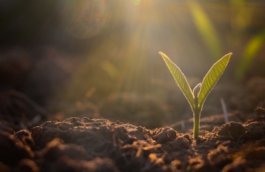 solstice et épiphanie